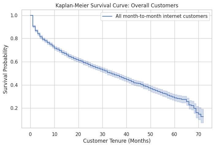 总体 Kaplan-Meier 生存曲线